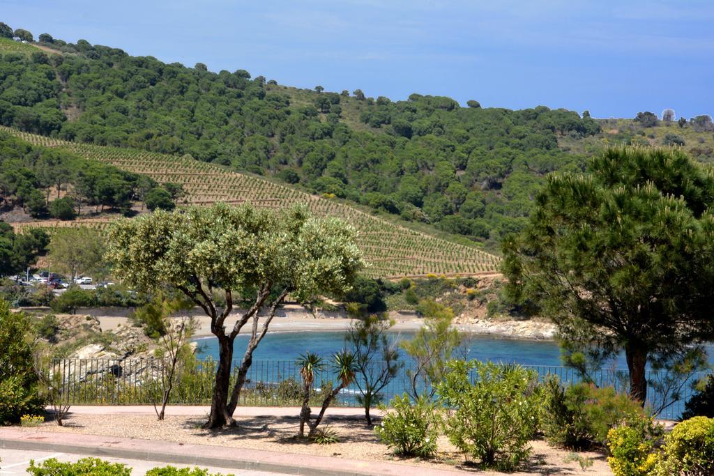 Logis Hotel Solhotel Banyuls-sur-Mer Exterior foto
