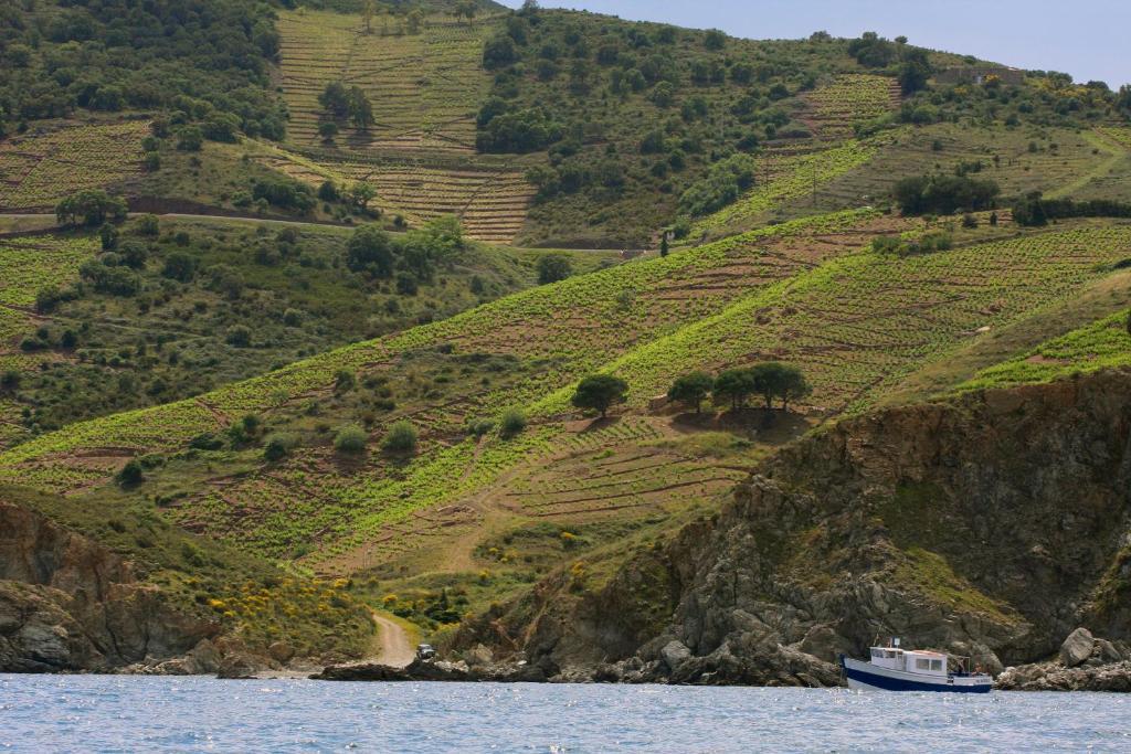 Logis Hotel Solhotel Banyuls-sur-Mer Exterior foto